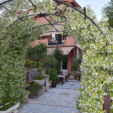 Apartments Scepanovic Тиват Экстерьер фото