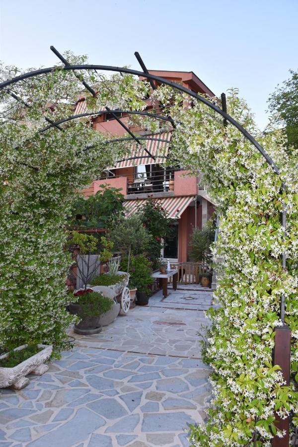 Apartments Scepanovic Тиват Экстерьер фото