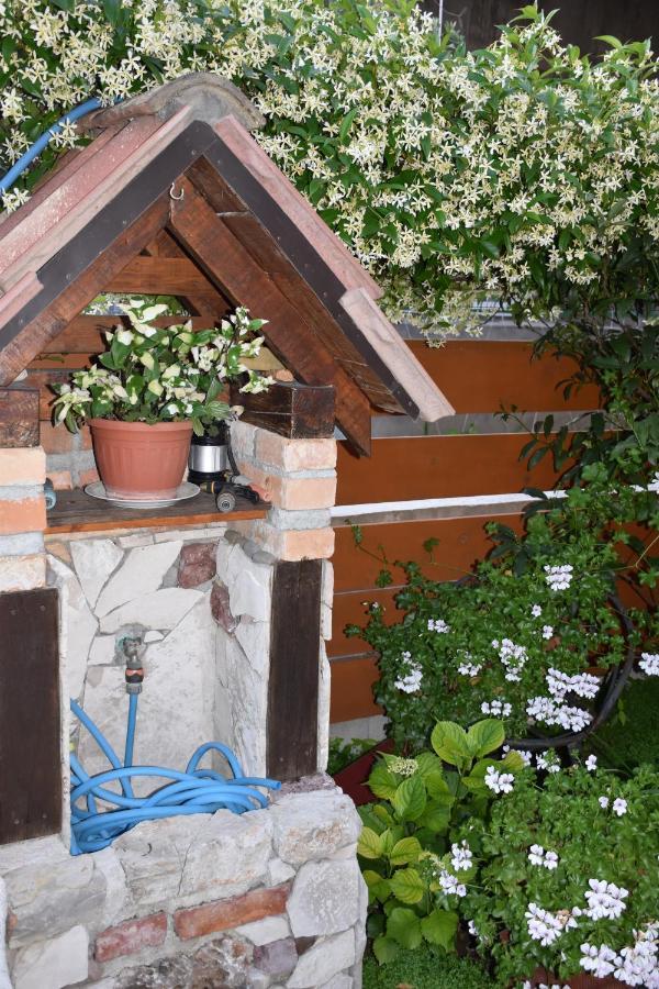 Apartments Scepanovic Тиват Экстерьер фото