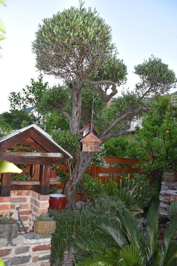 Apartments Scepanovic Тиват Экстерьер фото